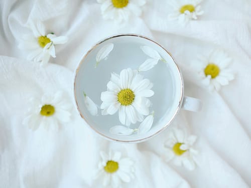 Sakinleştirici Etkili Bitki Çayları: Stres ve Kaygıyı Azaltmaya Yardımcı